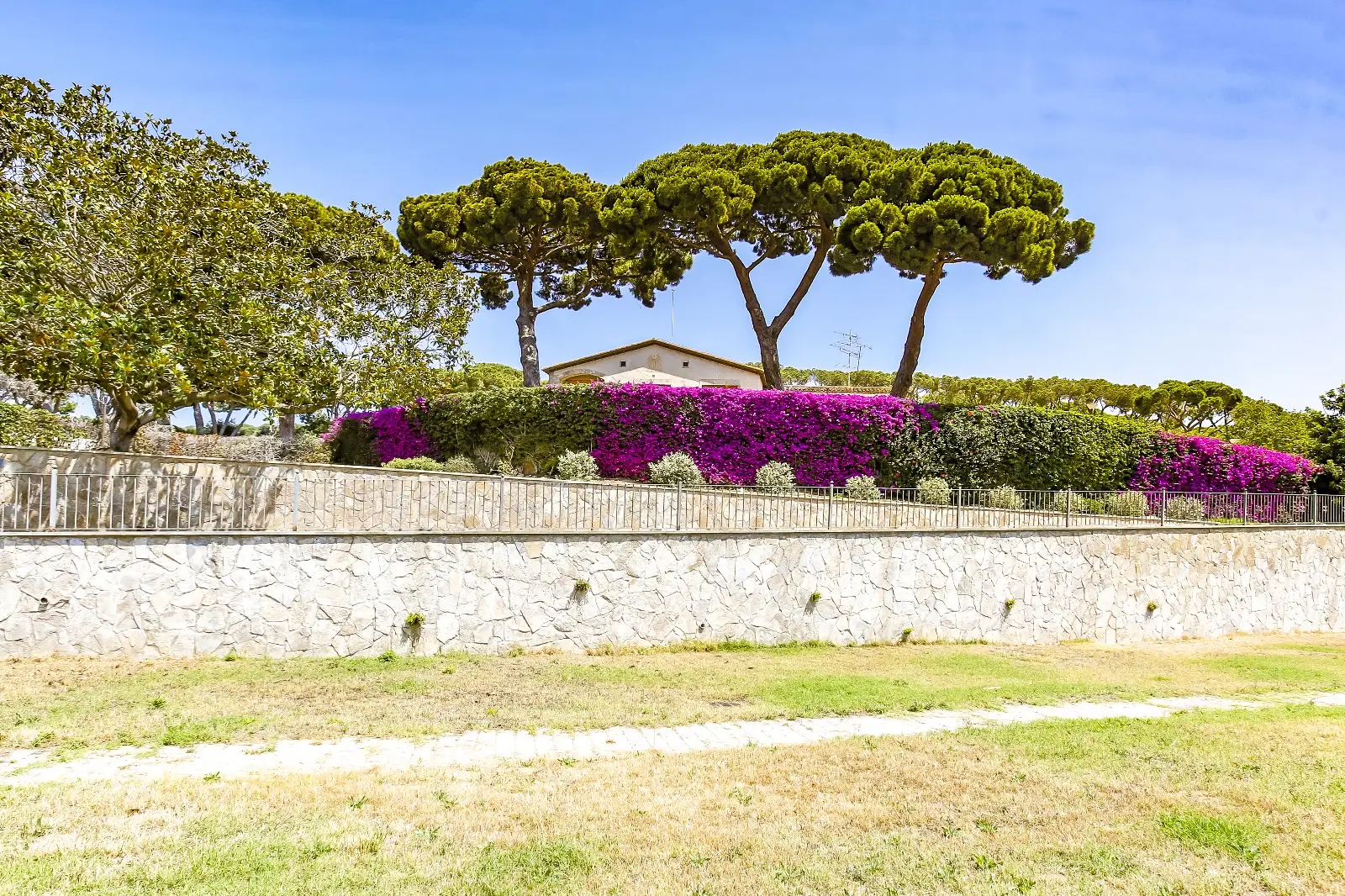 PHOTO-2025-08-19-17-10-27