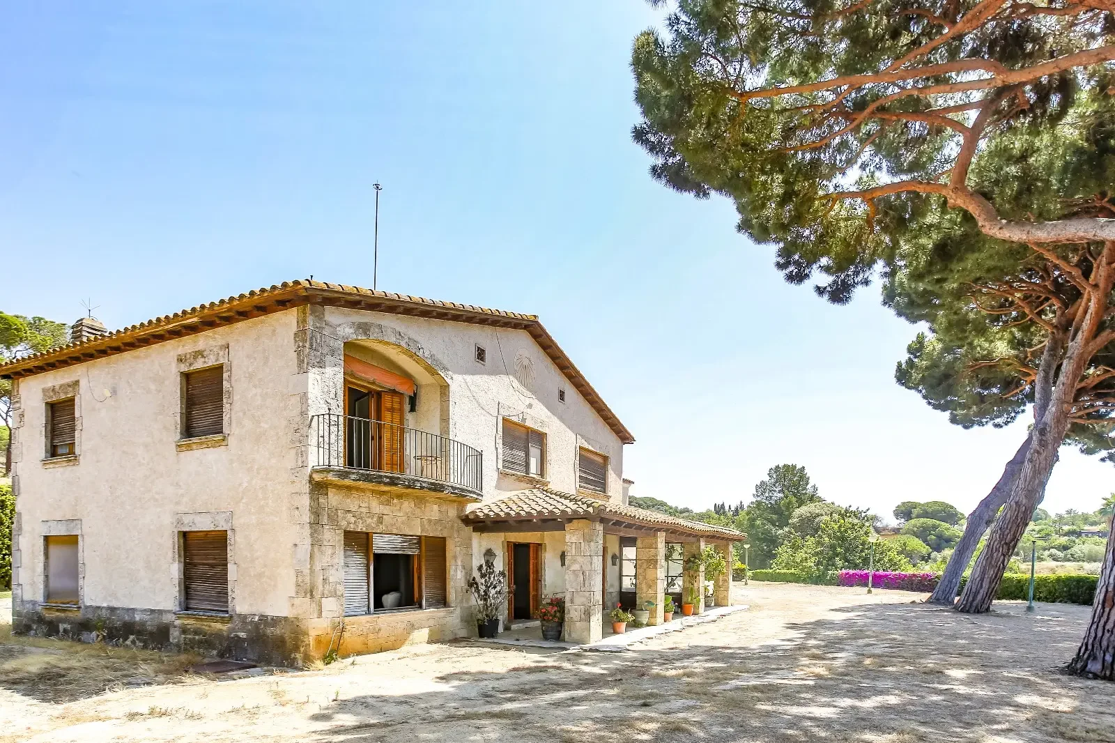 PHOTO-2025-08-19-17-10-28 2